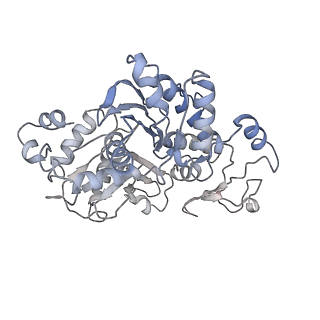 37988_8x19_K_v1-0
Structure of nucleosome-bound SRCAP-C in the ADP-BeFx-bound state