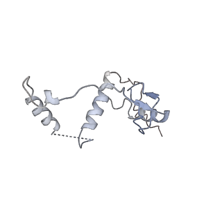 37988_8x19_L_v1-0
Structure of nucleosome-bound SRCAP-C in the ADP-BeFx-bound state