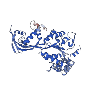 37988_8x19_M_v1-0
Structure of nucleosome-bound SRCAP-C in the ADP-BeFx-bound state