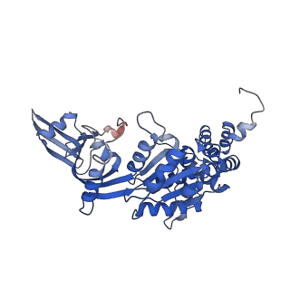 37988_8x19_N_v1-0
Structure of nucleosome-bound SRCAP-C in the ADP-BeFx-bound state