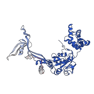 37988_8x19_O_v1-0
Structure of nucleosome-bound SRCAP-C in the ADP-BeFx-bound state