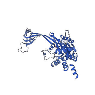 37988_8x19_Q_v1-0
Structure of nucleosome-bound SRCAP-C in the ADP-BeFx-bound state