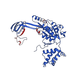 37988_8x19_R_v1-0
Structure of nucleosome-bound SRCAP-C in the ADP-BeFx-bound state