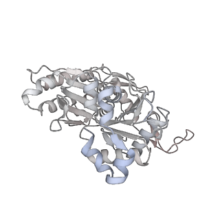 37988_8x19_S_v1-0
Structure of nucleosome-bound SRCAP-C in the ADP-BeFx-bound state