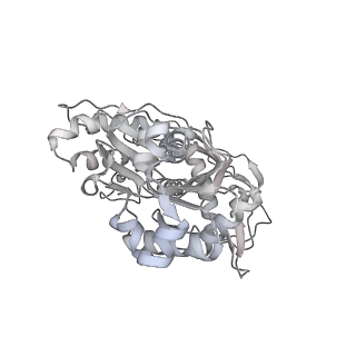 37988_8x19_T_v1-0
Structure of nucleosome-bound SRCAP-C in the ADP-BeFx-bound state