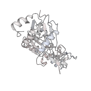 37988_8x19_U_v1-0
Structure of nucleosome-bound SRCAP-C in the ADP-BeFx-bound state