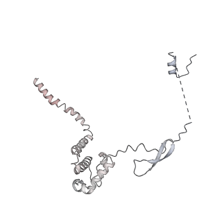 37988_8x19_V_v1-0
Structure of nucleosome-bound SRCAP-C in the ADP-BeFx-bound state