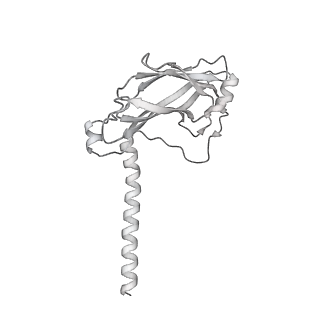 37988_8x19_W_v1-0
Structure of nucleosome-bound SRCAP-C in the ADP-BeFx-bound state