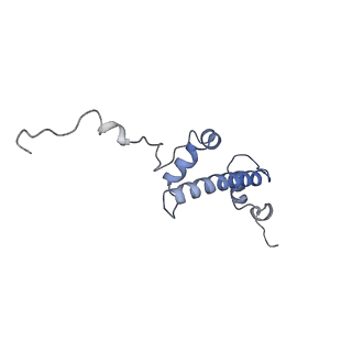 37990_8x1c_A_v1-0
Structure of nucleosome-bound SRCAP-C in the ADP-bound state