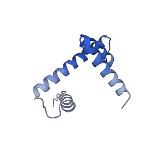 37990_8x1c_B_v1-0
Structure of nucleosome-bound SRCAP-C in the ADP-bound state