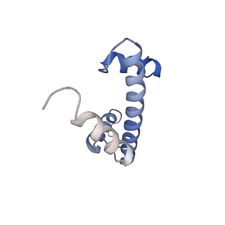 37990_8x1c_C_v1-0
Structure of nucleosome-bound SRCAP-C in the ADP-bound state