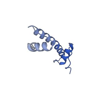 37990_8x1c_D_v1-0
Structure of nucleosome-bound SRCAP-C in the ADP-bound state