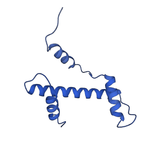 37990_8x1c_G_v1-0
Structure of nucleosome-bound SRCAP-C in the ADP-bound state