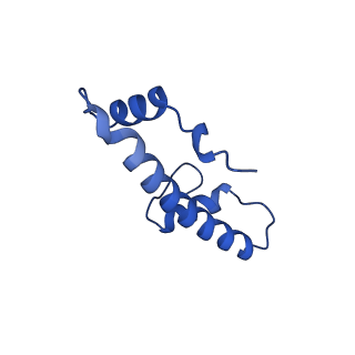 37990_8x1c_H_v1-0
Structure of nucleosome-bound SRCAP-C in the ADP-bound state