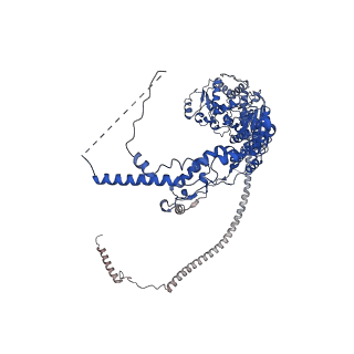 37990_8x1c_I_v1-0
Structure of nucleosome-bound SRCAP-C in the ADP-bound state