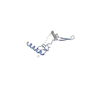 37990_8x1c_J_v1-0
Structure of nucleosome-bound SRCAP-C in the ADP-bound state