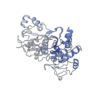 37990_8x1c_K_v1-0
Structure of nucleosome-bound SRCAP-C in the ADP-bound state