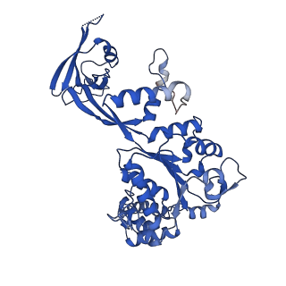 37990_8x1c_M_v1-0
Structure of nucleosome-bound SRCAP-C in the ADP-bound state