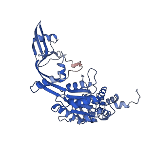 37990_8x1c_N_v1-0
Structure of nucleosome-bound SRCAP-C in the ADP-bound state