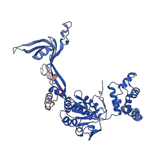 37990_8x1c_O_v1-0
Structure of nucleosome-bound SRCAP-C in the ADP-bound state