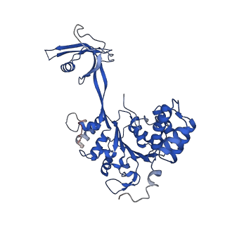 37990_8x1c_P_v1-0
Structure of nucleosome-bound SRCAP-C in the ADP-bound state