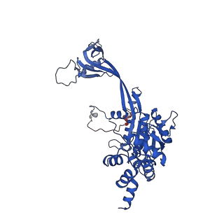 37990_8x1c_Q_v1-0
Structure of nucleosome-bound SRCAP-C in the ADP-bound state