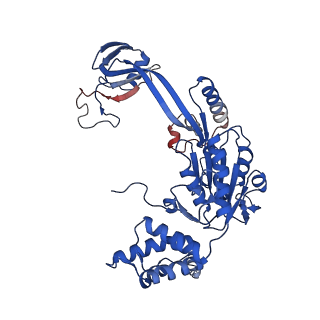 37990_8x1c_R_v1-0
Structure of nucleosome-bound SRCAP-C in the ADP-bound state