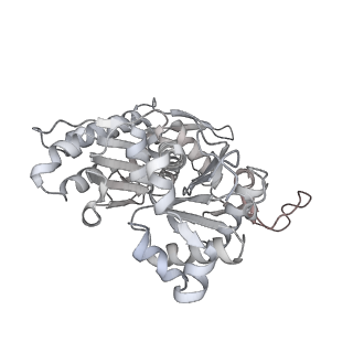 37990_8x1c_S_v1-0
Structure of nucleosome-bound SRCAP-C in the ADP-bound state