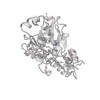 37990_8x1c_U_v1-0
Structure of nucleosome-bound SRCAP-C in the ADP-bound state