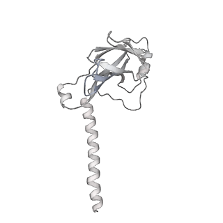 37990_8x1c_W_v1-0
Structure of nucleosome-bound SRCAP-C in the ADP-bound state