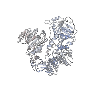 21996_6x26_A_v1-0
Mfd-bound E.coli RNA polymerase elongation complex - L1 state