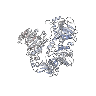 21996_6x26_A_v1-1
Mfd-bound E.coli RNA polymerase elongation complex - L1 state