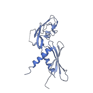 21996_6x26_G_v1-0
Mfd-bound E.coli RNA polymerase elongation complex - L1 state