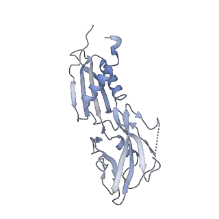 21996_6x26_H_v1-1
Mfd-bound E.coli RNA polymerase elongation complex - L1 state