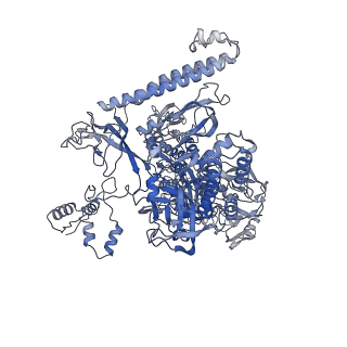 21996_6x26_I_v1-0
Mfd-bound E.coli RNA polymerase elongation complex - L1 state