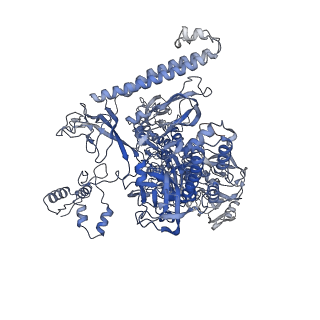 21996_6x26_I_v1-1
Mfd-bound E.coli RNA polymerase elongation complex - L1 state