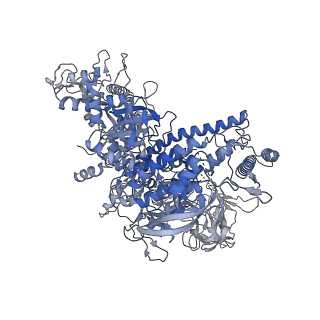 21996_6x26_J_v1-0
Mfd-bound E.coli RNA polymerase elongation complex - L1 state