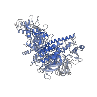 21996_6x26_J_v1-1
Mfd-bound E.coli RNA polymerase elongation complex - L1 state