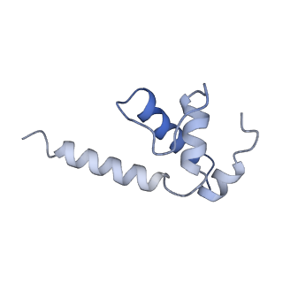 21996_6x26_K_v1-0
Mfd-bound E.coli RNA polymerase elongation complex - L1 state