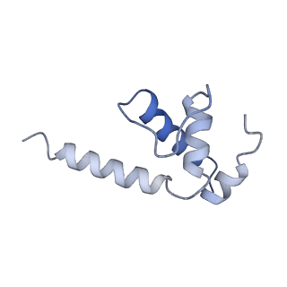 21996_6x26_K_v1-1
Mfd-bound E.coli RNA polymerase elongation complex - L1 state