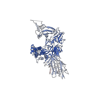 21997_6x29_C_v2-2
SARS-CoV-2 rS2d Down State Spike Protein Trimer