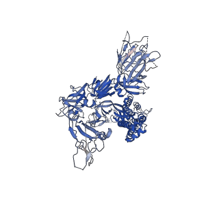 21999_6x2a_A_v1-1
SARS-CoV-2 u1S2q 1-RBD Up Spike Protein Trimer