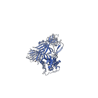 22000_6x2b_C_v3-0
SARS-CoV-2 u1S2q 2-RBD Up Spike Protein Trimer
