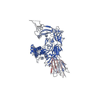 22001_6x2c_A_v1-4
SARS-CoV-2 u1S2q All Down RBD State Spike Protein Trimer