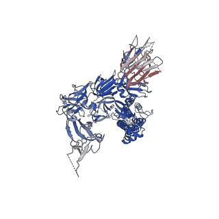 22001_6x2c_B_v1-4
SARS-CoV-2 u1S2q All Down RBD State Spike Protein Trimer