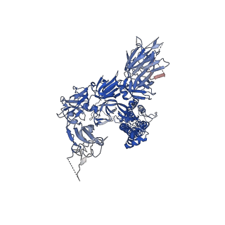 22001_6x2c_C_v2-0
SARS-CoV-2 u1S2q All Down RBD State Spike Protein Trimer