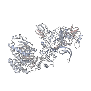 22006_6x2f_A_v1-0
Mfd-bound E.coli RNA polymerase elongation complex - L2 state
