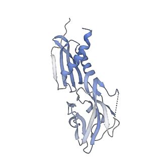 22006_6x2f_H_v1-1
Mfd-bound E.coli RNA polymerase elongation complex - L2 state