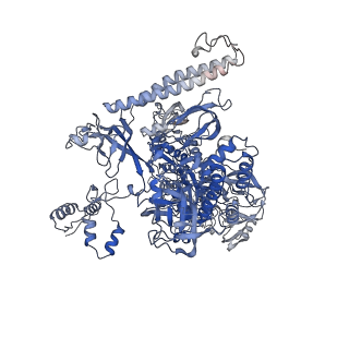 22006_6x2f_I_v1-0
Mfd-bound E.coli RNA polymerase elongation complex - L2 state
