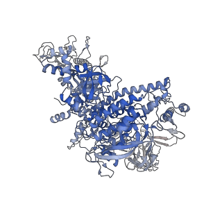 22006_6x2f_J_v1-0
Mfd-bound E.coli RNA polymerase elongation complex - L2 state